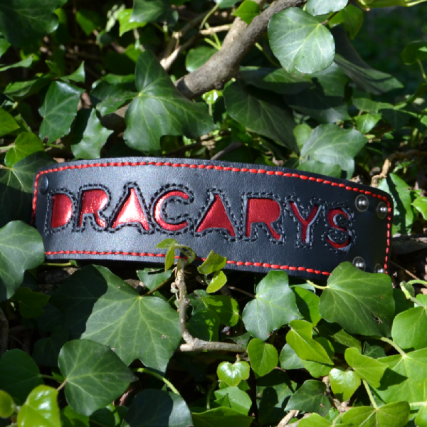 DRACARYS leather bracelet